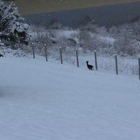 Nad Zalewem 팜스테이 Jaszczurowa