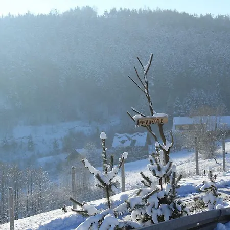 Nad Zalewem 팜스테이 *