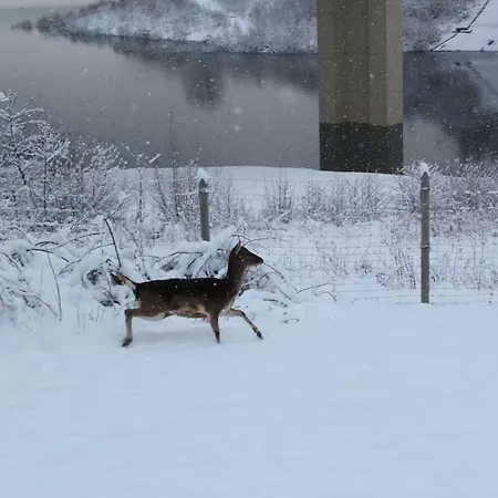 Nad Zalewem Farmház