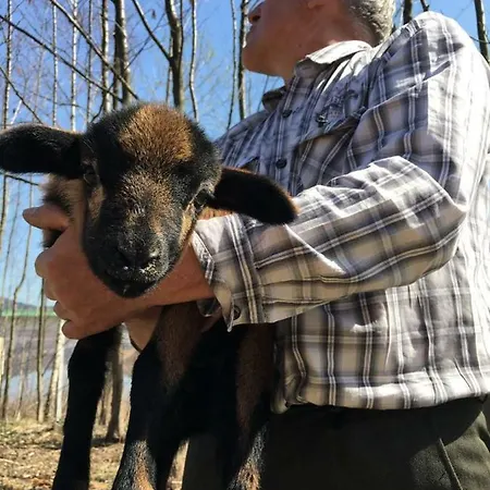 Nad Zalewem * Jaszczurowa