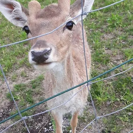Nad Zalewem Jaszczurowa