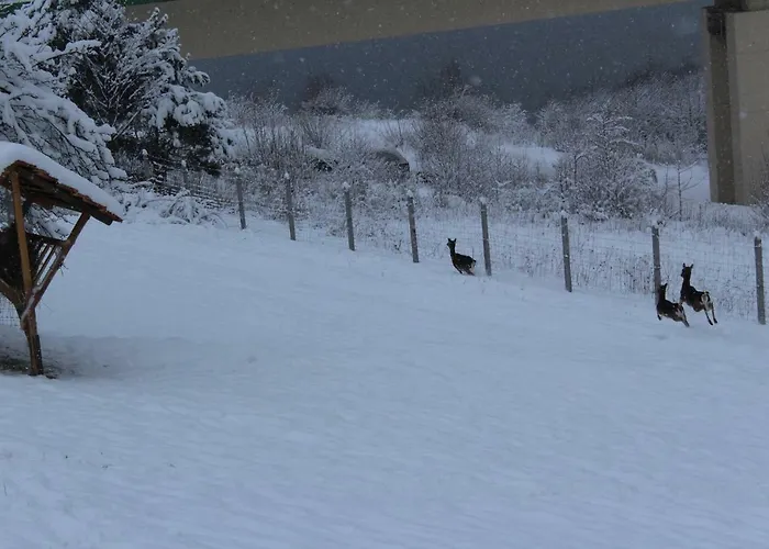 Nad Zalewem בית חווה Jaszczurowa