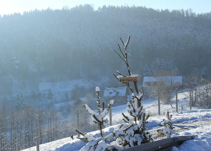 Nad Zalewem בית חווה *