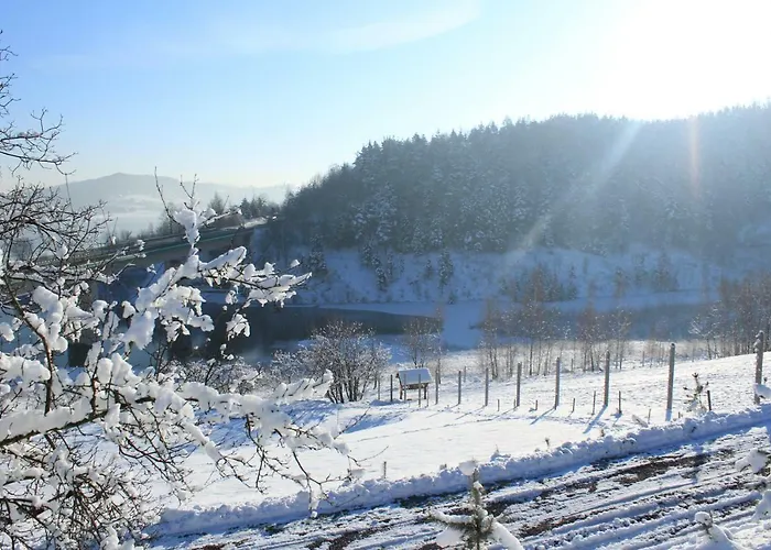 Nad Zalewem Jaszczurowa