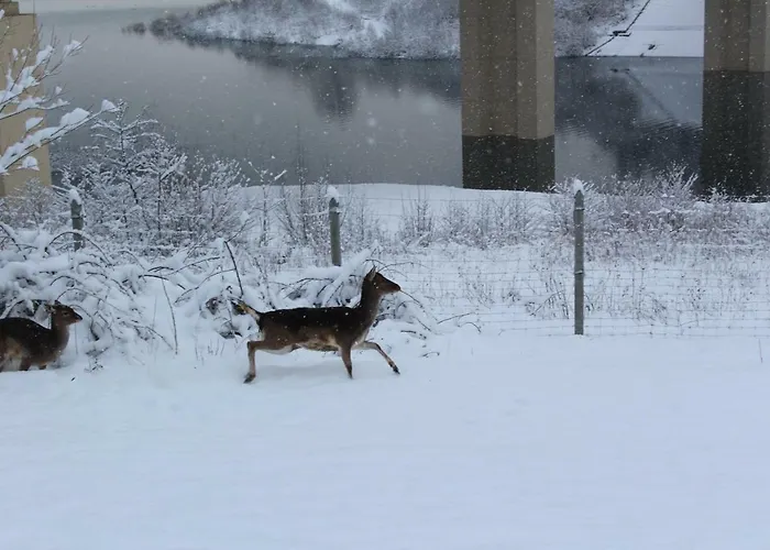 Nad Zalewem בית חווה