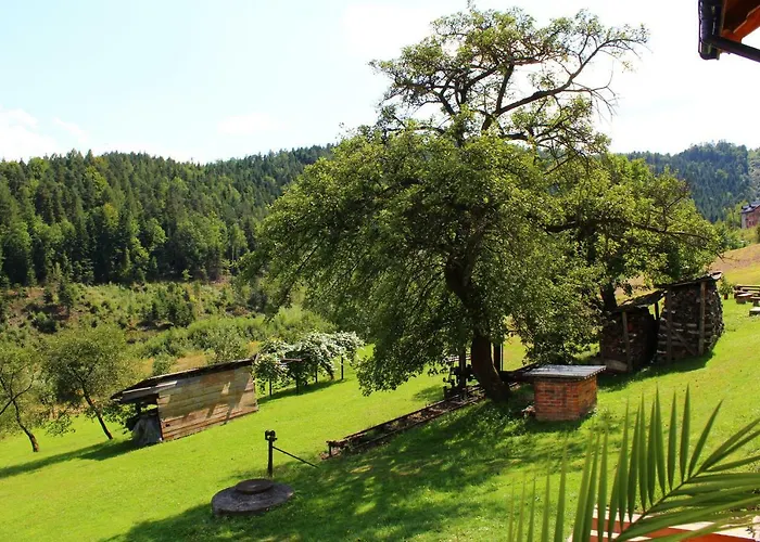 בית חווה Nad Zalewem