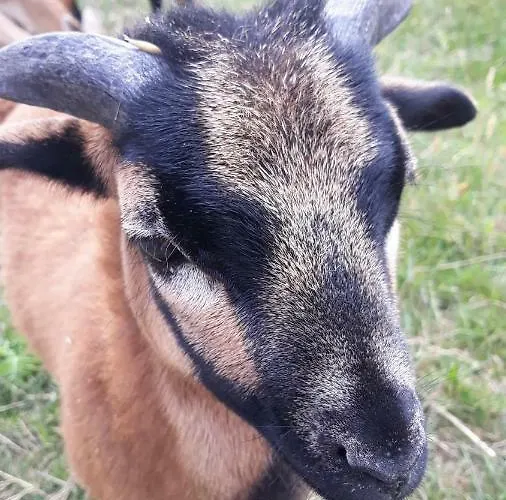 בית חווה Nad Zalewem Jaszczurowa