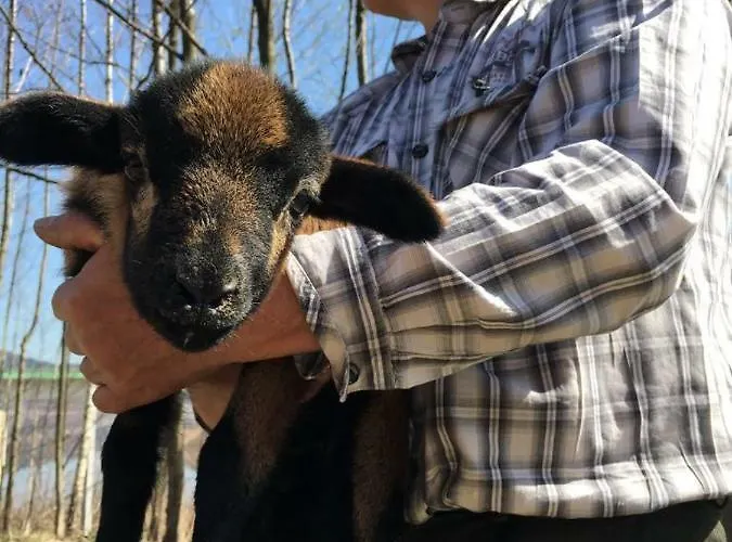 Nad Zalewem * Jaszczurowa