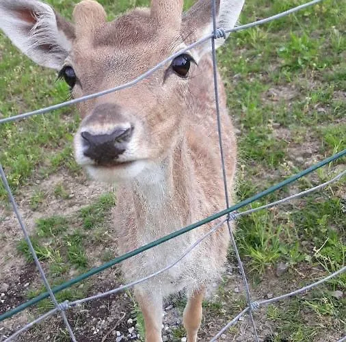 Nad Zalewem Jaszczurowa